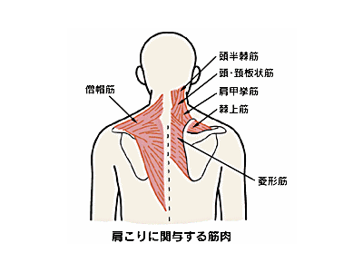 膝の痛み